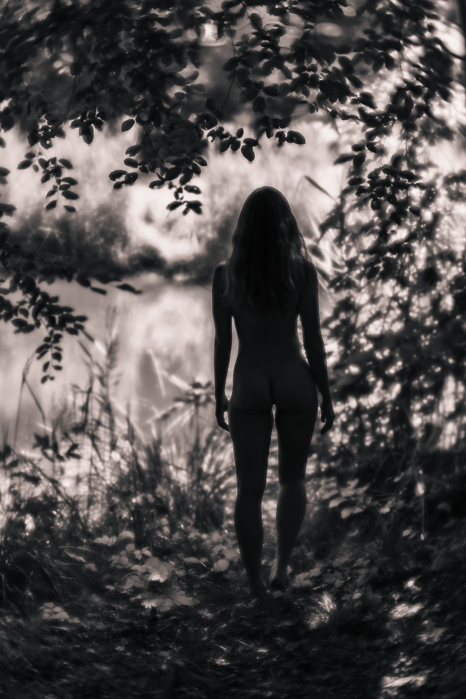 Akt im Schloss Blumenthal    2271